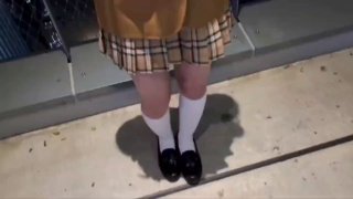 二零二三七月十三号_白老虎